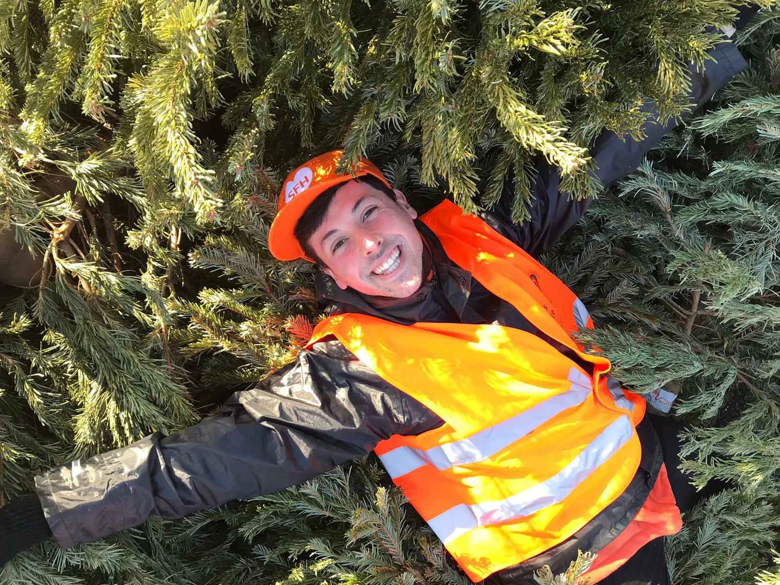 Sean laying in Christmas trees