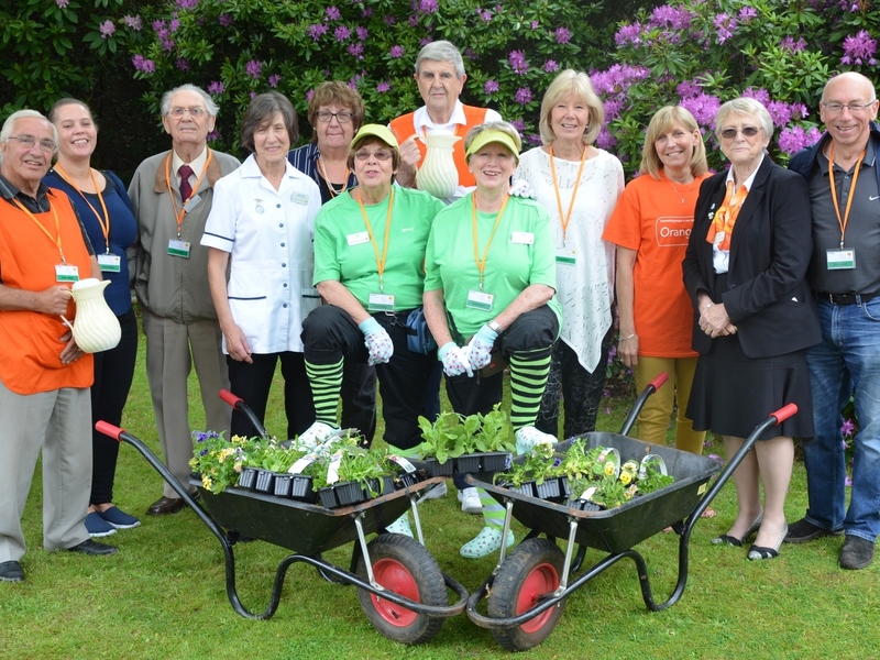 team of volunteers (cropped)